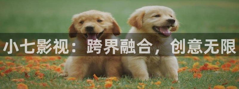 精东影业电影完整版免费观看