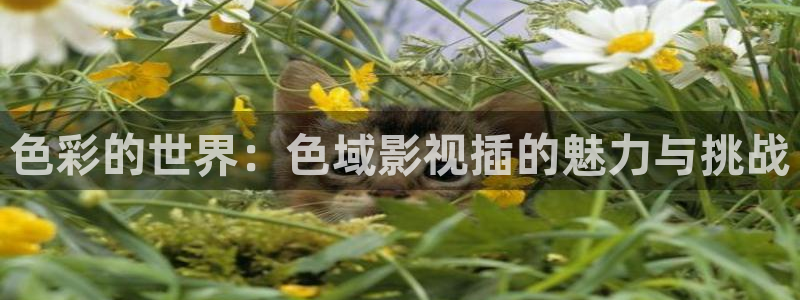 免费看精东影业
