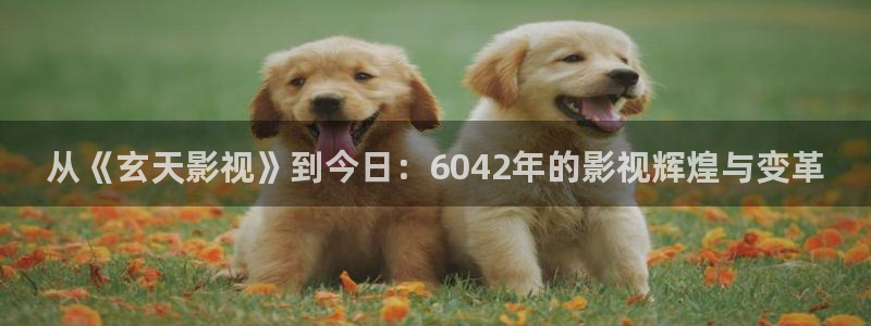 精东传媒影业作品
