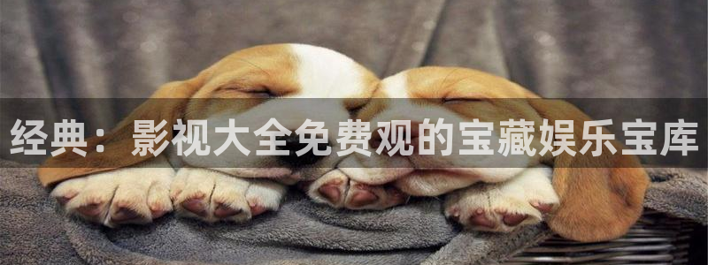 精东av影业