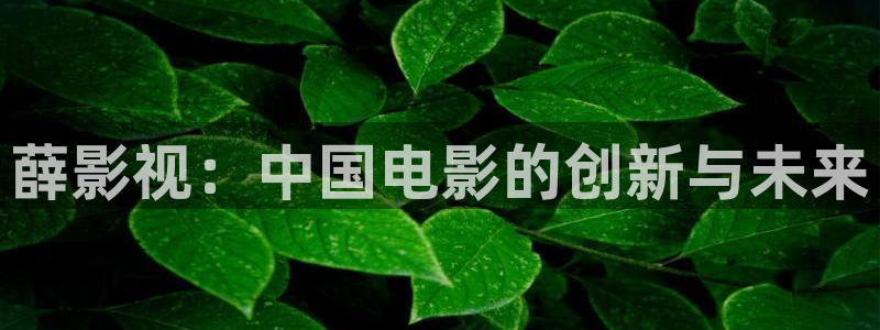 精东《精东影业》在线
