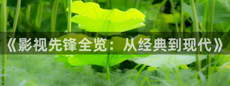 精东影业三级